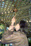 sword balancing